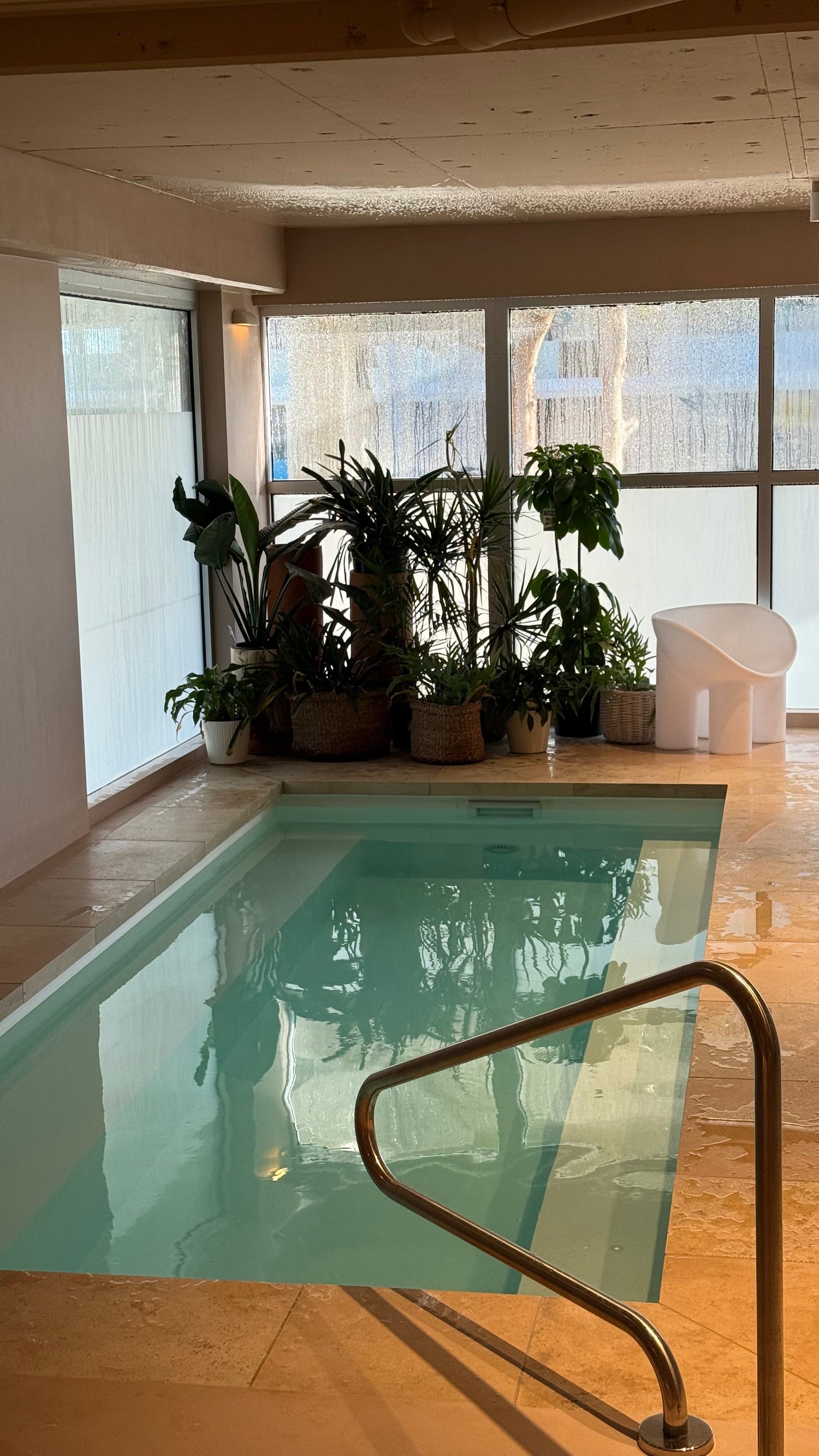 Wellness Social Club Pool