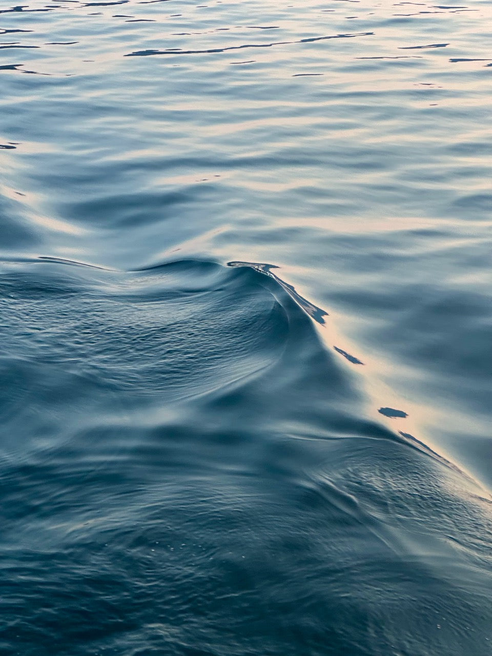 Water with a swell
