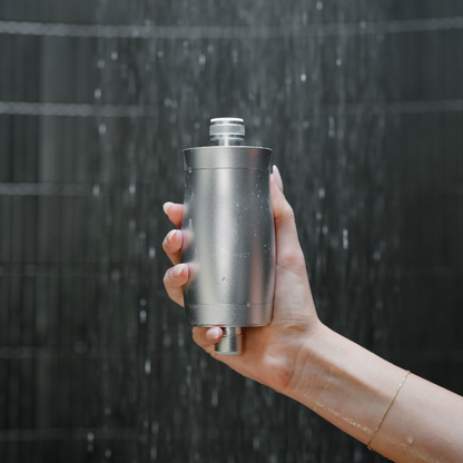Shower Filter + Adapter - Silver