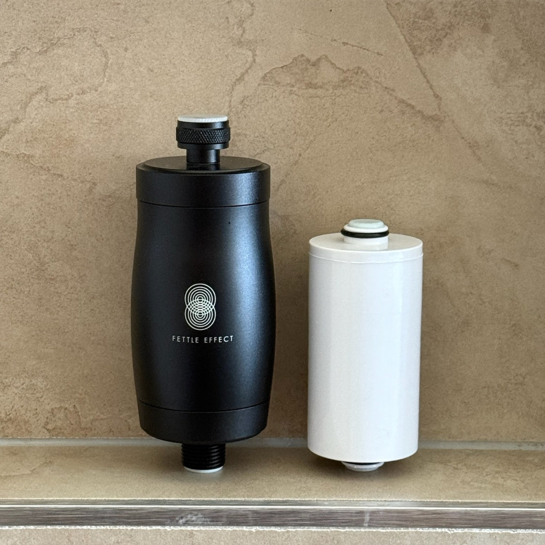 Bundle - Shower Filter + Replacement