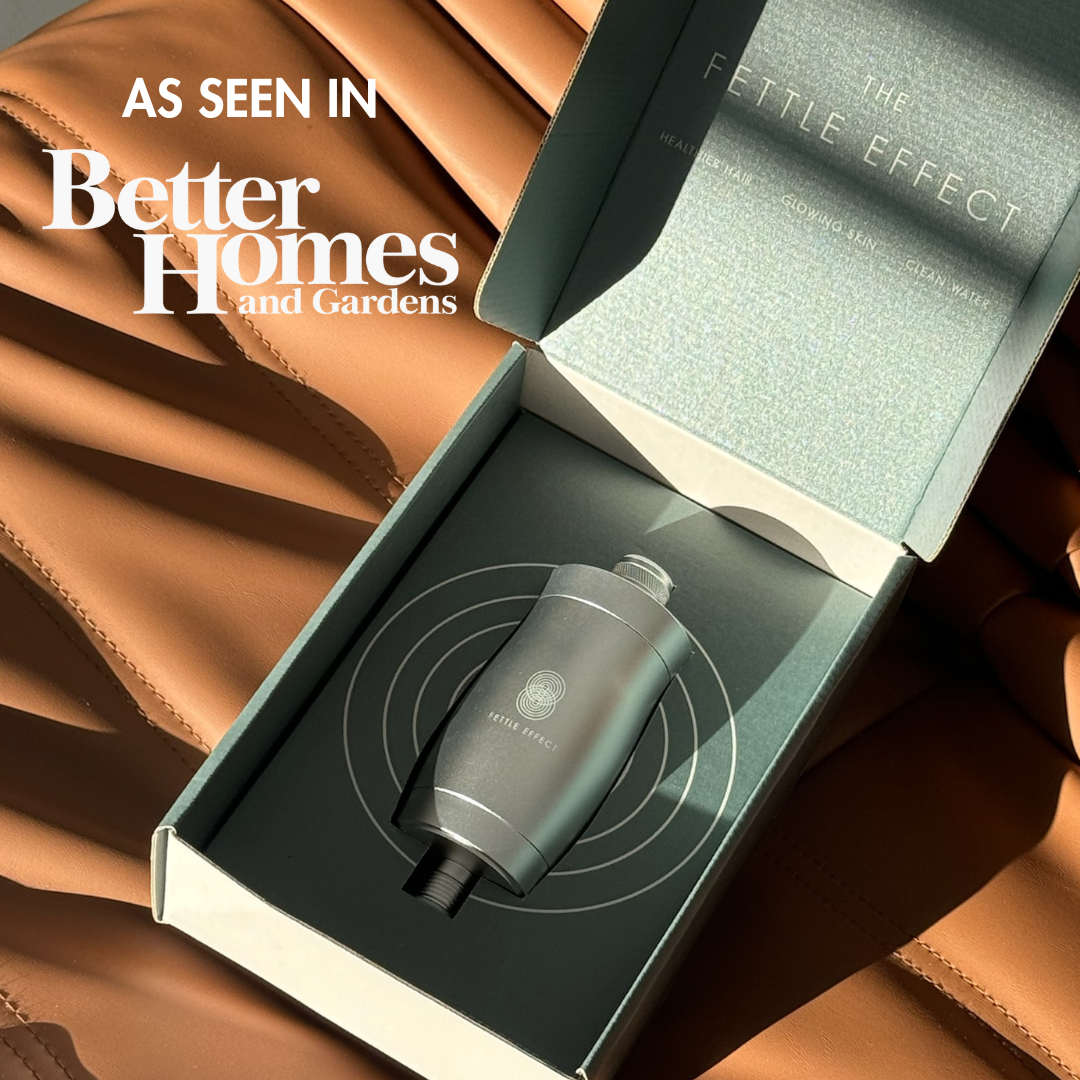 Shower Filter + Adapter - Silver